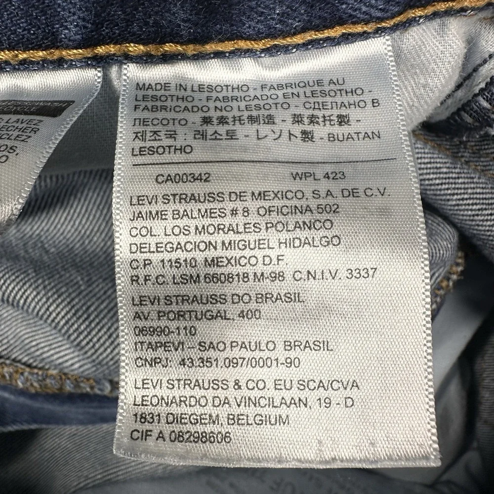 Levis levis 517